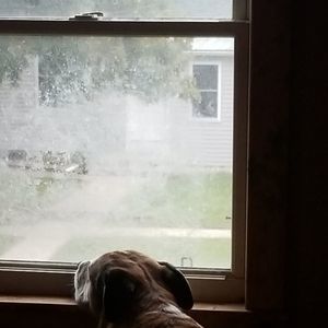 Meet your Posher, Danny